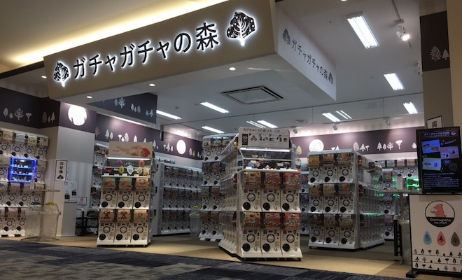 写真はイメージ