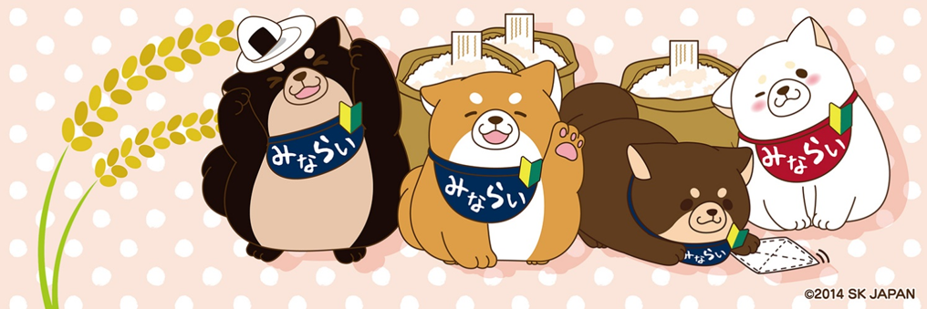 ©2014 SK JAPAN