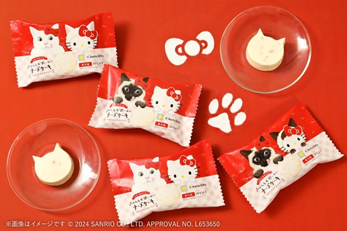 © 2024 SANRIO CO., LTD. APPROVAL NO. L653650
