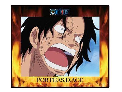 © 尾田栄一郎／集英社・フジテレビ・東映アニメーション