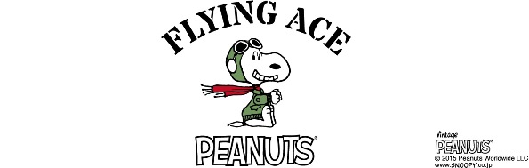 © 2015 Peanuts Worldwide LLC.